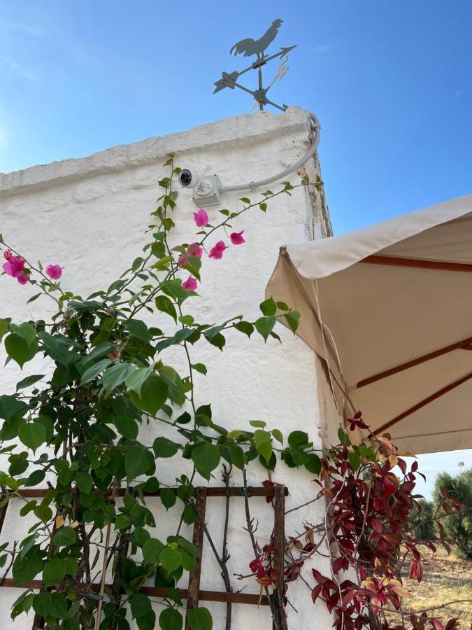 Bed and Breakfast La Guendalina Masseria E Casa Particular Monopoli Exterior foto